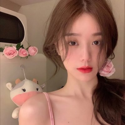 一条叫王子的狗